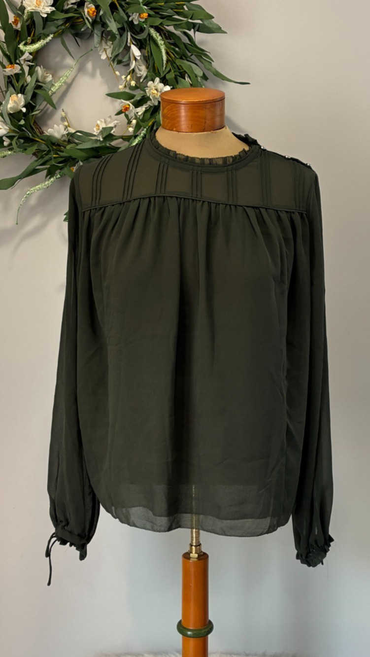 Wilfred Aritzia Lourdes Sheer Green Long Sleeve Lined Blouse Size Medium